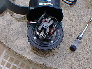 With the strain relief removed, the motor can be pulled out